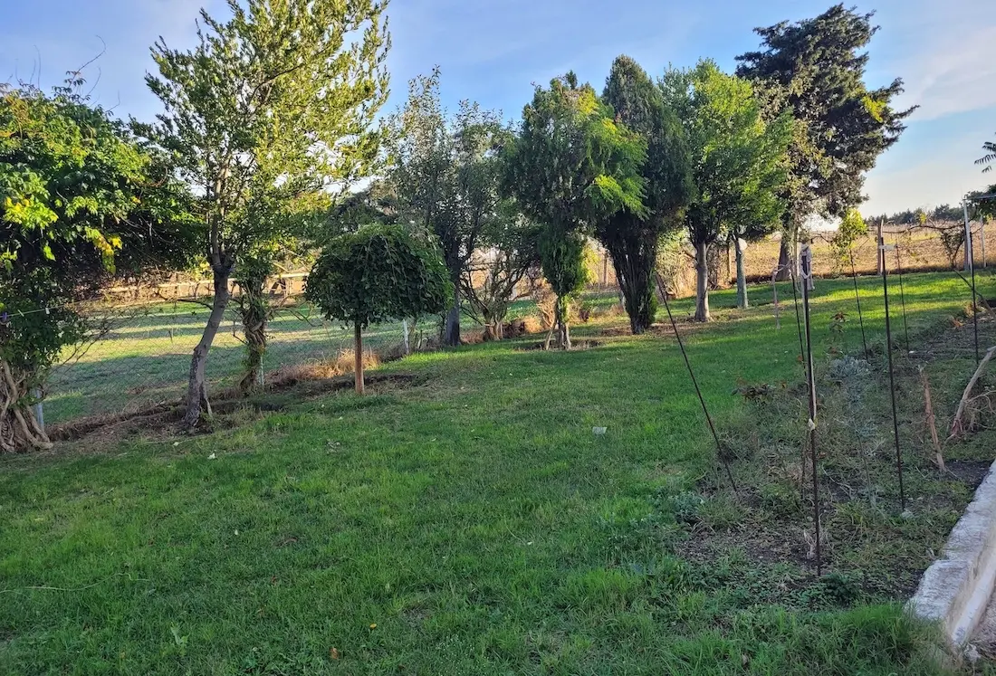 Farm in Silivri